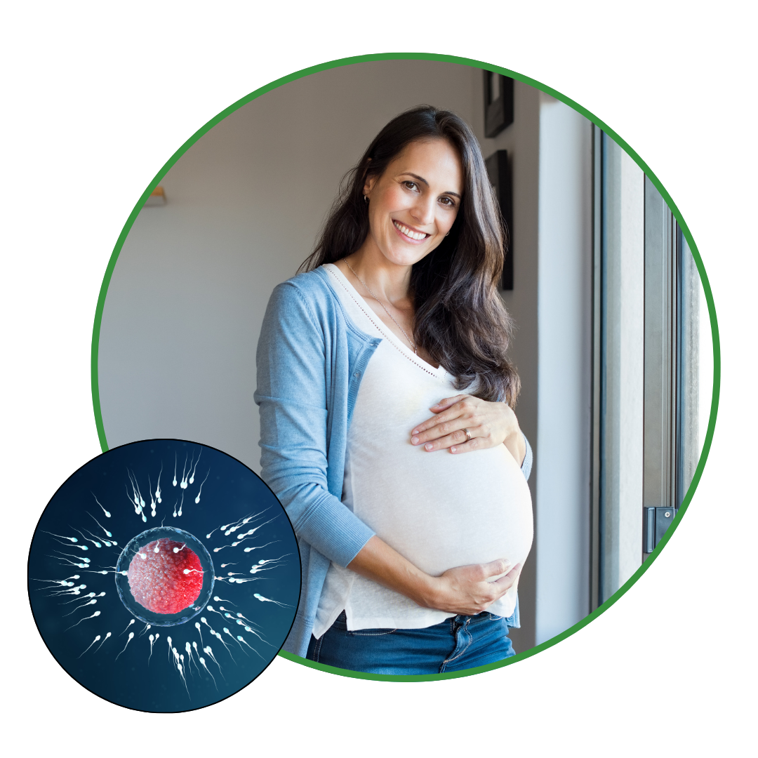 How to Improve Egg Quality for Better Fertility Outcomes
