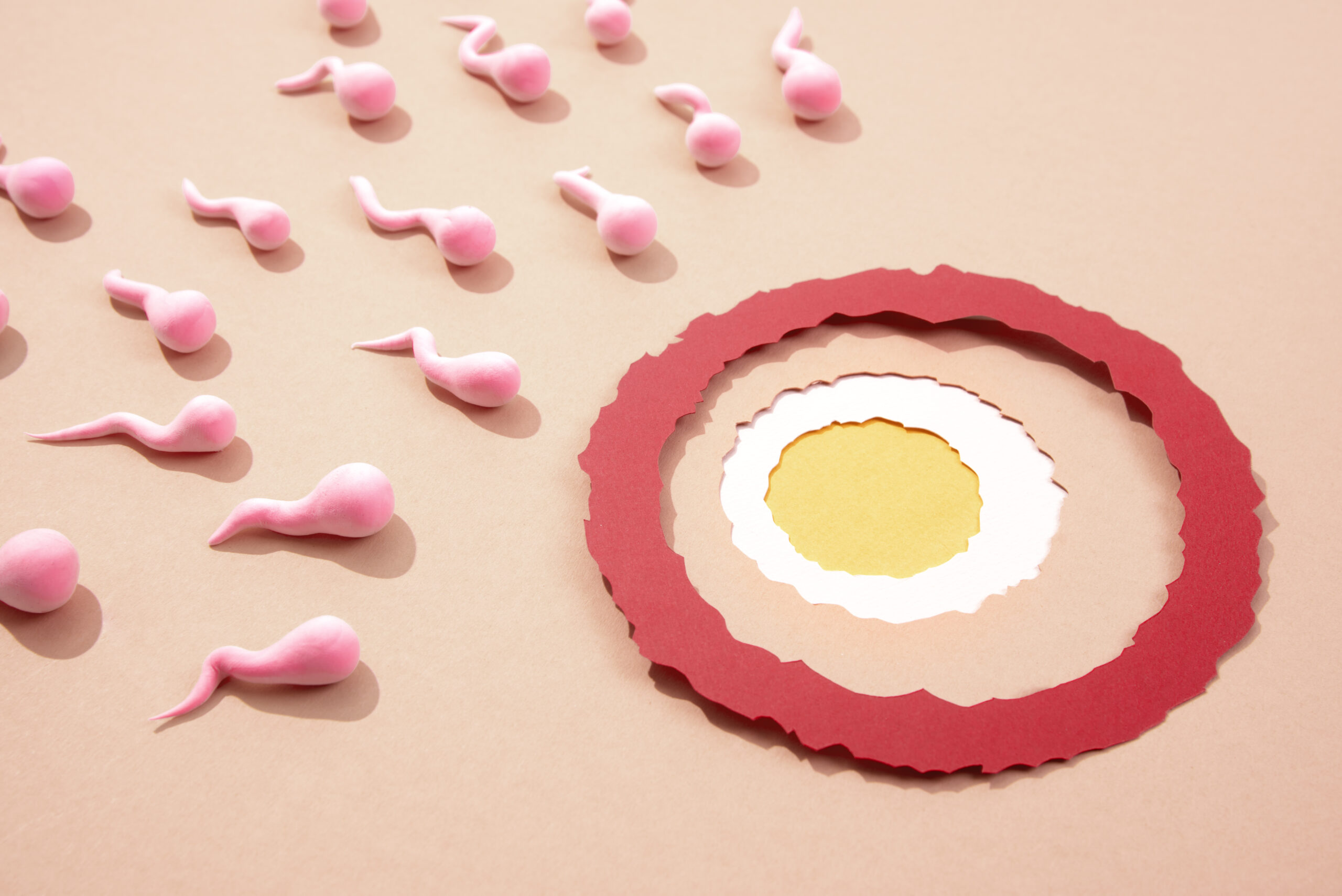 Low Sperm Count: Causes, Symptoms, and Ways to Improve Fertility