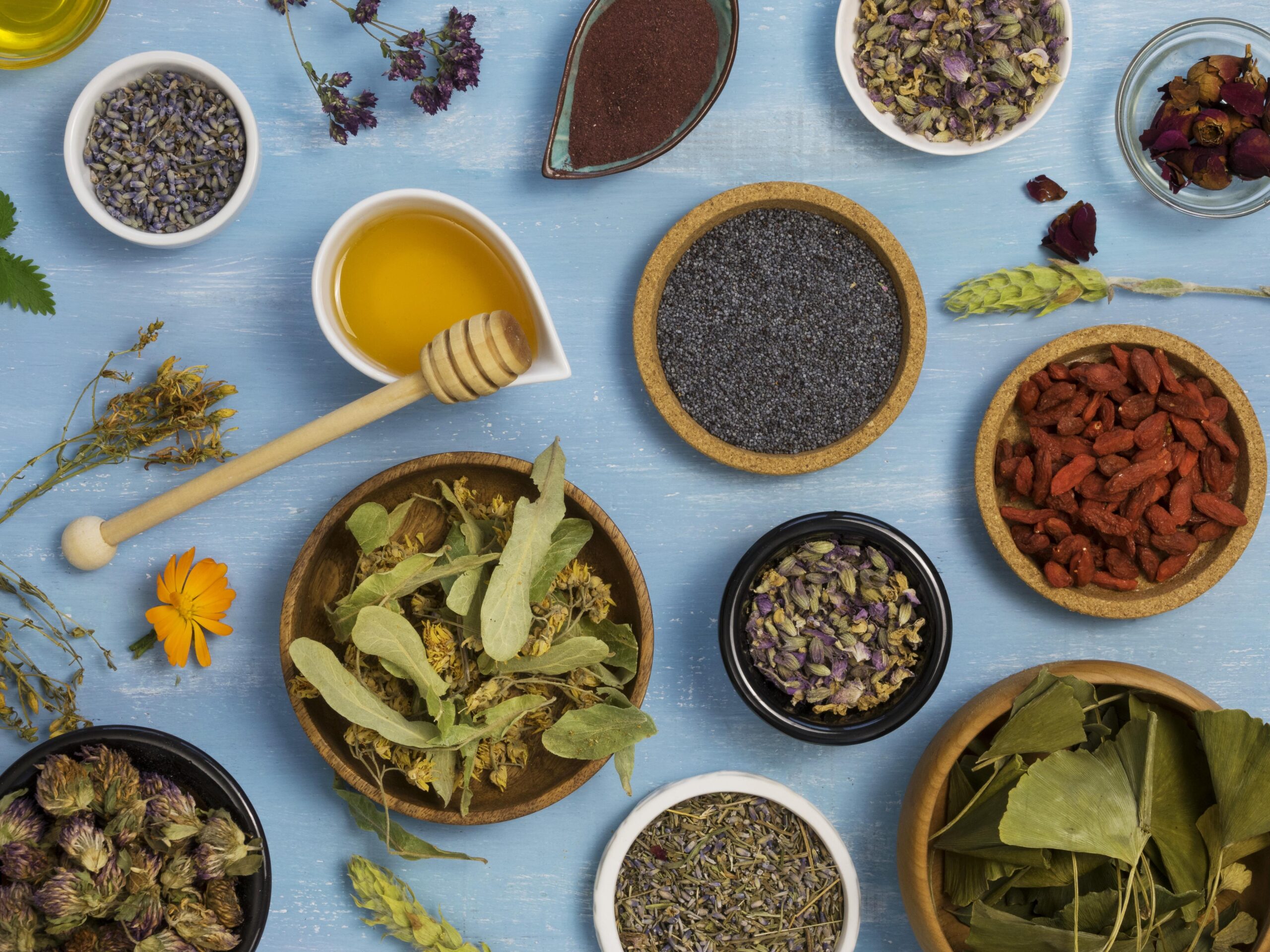 Best Ayurvedic Herbs to Boost Fertility in Men and Women