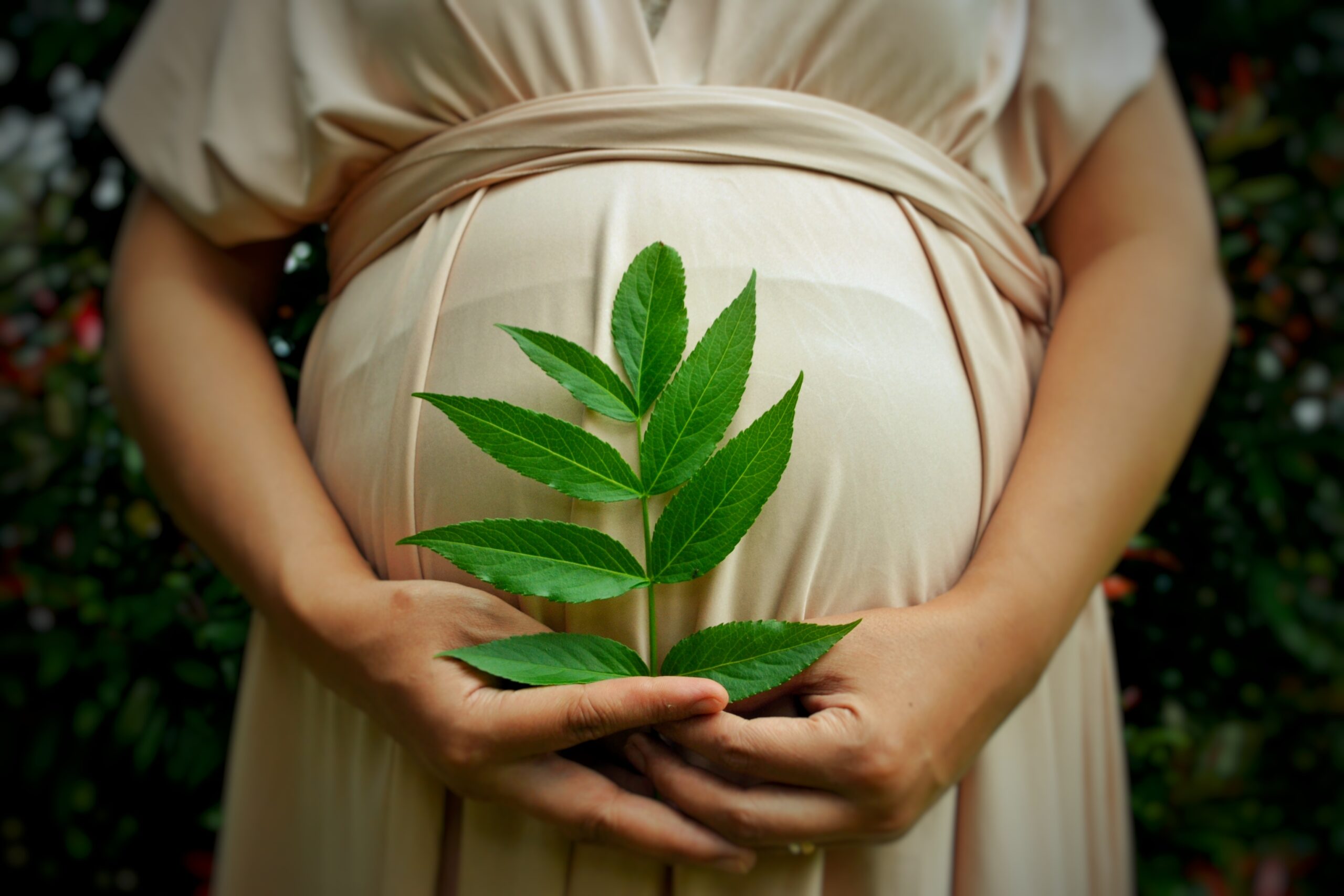 Shatavari: The Ayurvedic Wonder Herb for Female Fertility