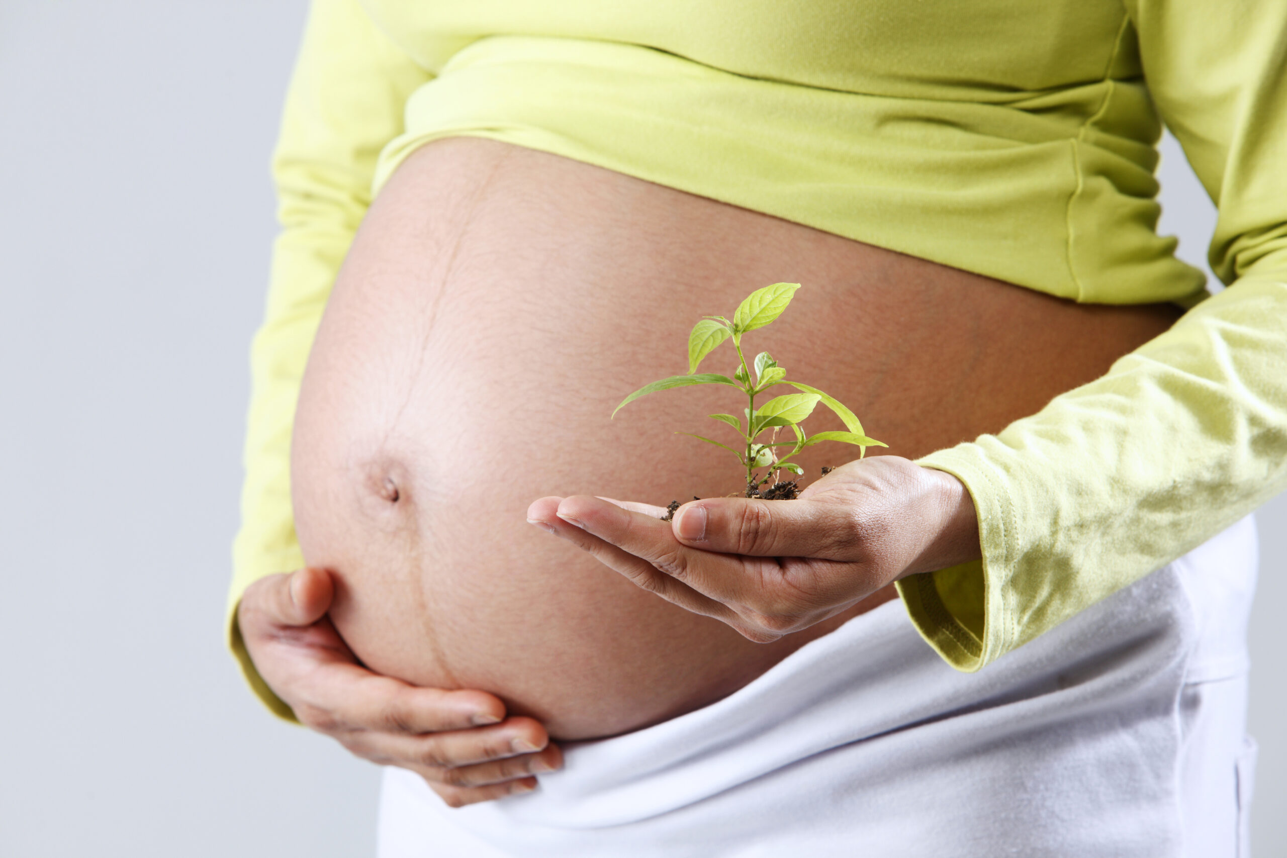 Natural and Holistic Approaches for Fertility: An Ayurvedic Perspective