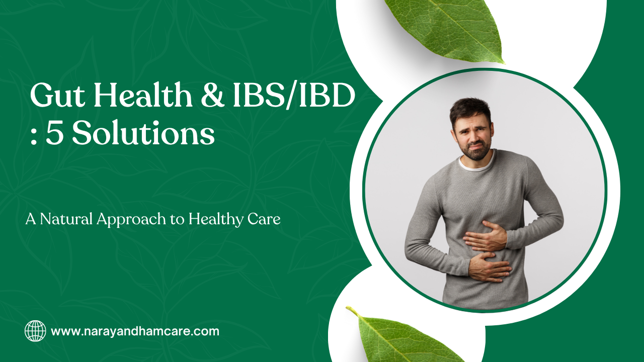 Gut Health & IBS/IBD:5 Solutions